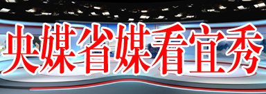 �����^�l