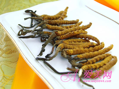  ���x�Ĳ��a̓�p �ﶬ�B���x���Ĵ����a�� 